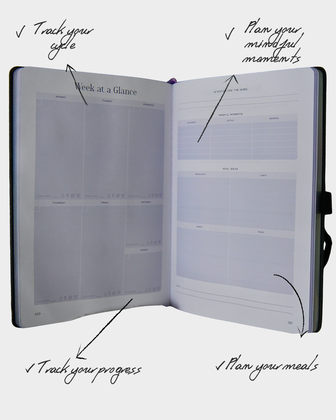 Zen AF Wellness Planner